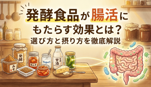 発酵食品が腸活にもたらす効果とは？選び方と摂り方を徹底解説