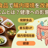 発酵食品で腸内環境を改善するメカニズムとは？健康への影響を解説