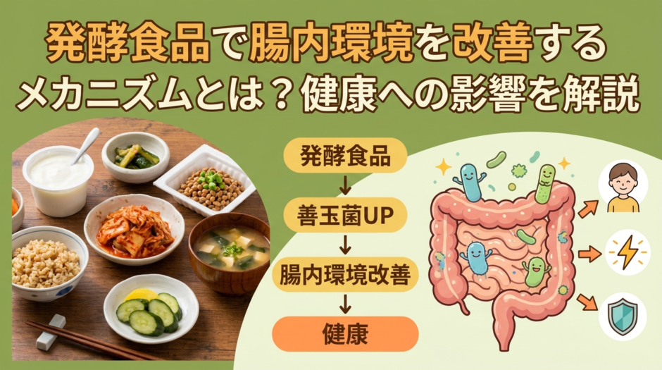 発酵食品で腸内環境を改善するメカニズムとは？健康への影響を解説